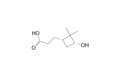 3-[(1S,3R)-2,2-dimethyl-3-oxidanyl-cyclobutyl]propanoic acid