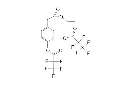 3,4-Dihydroxyphenylacetic acid, ethyl ester, di-pfp