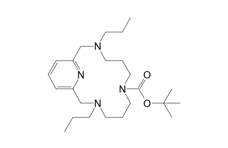 3,11-Dipropyl-7-[(t-butoxy)carbonyl]-3,7,11,17-tetraazabicyclo[11.3.1]heptadeca-1(16),13(17),14-triene