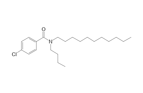 Benzamide, 4-chloro-N-butyl-N-undecyl-