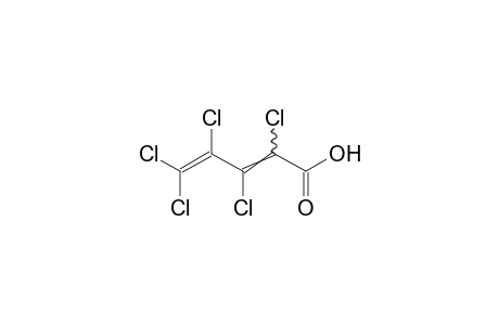 2,3,4,5,5-Pentachloro-2,4-pentadienoic acid