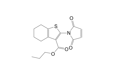 propyl 2-(2,5-dioxo-2,5-dihydro-1H-pyrrol-1-yl)-4,5,6,7-tetrahydro-1-benzothiophene-3-carboxylate