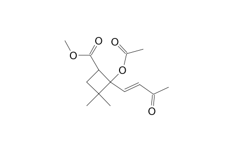 2-Acetoxy-3,3-dimethyl-2-(3-oxo-but-1-enyl)-cyclobutanecarboxylic acid, methyl ester