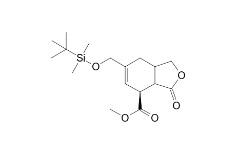 Methyl (7S))-1-oxo-5-[(t-butyldimethylsilyl)oxymethyl]-(hexahydro)-isobenzofuran-7-carboxylate