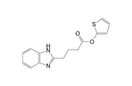 2-thienyl 4-(1H-benzimidazol-2-yl)butanoate