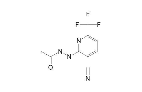 2-ACETYL-HYDRAZINO-3-CYANO-6-TRIFLUOROMETHYL-PYRIDINE
