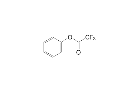 Phenyl trifluoroacetate