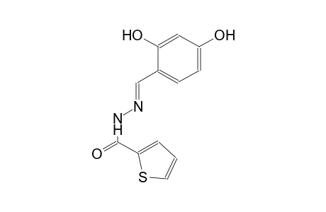N'-[(E)-(2,4-dihydroxyphenyl)methylidene]-2-thiophenecarbohydrazide