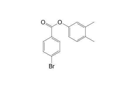 4-Bromobenzoic acid, 3,4-dimethylphenyl ester