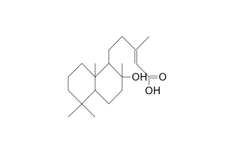 Ent-labd-13-en-8b-oic acid
