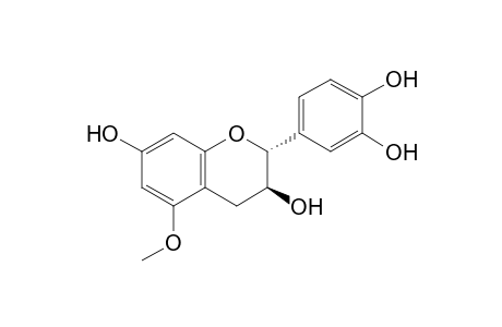 (2R,3S)-2-(3,4-dihydroxyphenyl)-5-methoxy-3,4-dihydro-2H-chromene-3,7-diol