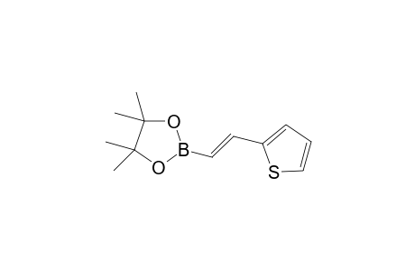 (E)-4,4,5,5-Tetramethyl-2-(2-(thiophen-2-yl)vinyl)-1,3,2-dioxaborolane