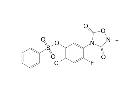 2-Methyl-4-(4'-chloro-2'-fluoro-5'-phenylsulfonyloxyphenyl)-1,2,4-oxadiazolidine-3,5-dione