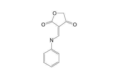 (E)-3-ANILINOMETHYLENE-TETRONIC-ACID