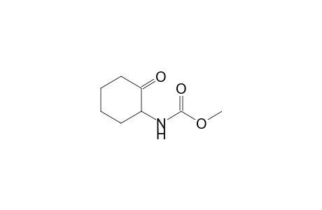 Methyl N-(2-oxidanylidenecyclohexyl)carbamate