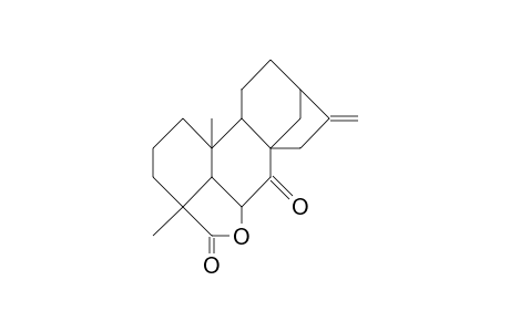 7-Oxo-kaurenolide