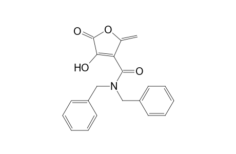4-(N,N-dibenzylcarbamoyl)-3-hydroxy-5-methylidene-2(5H)-furanone
