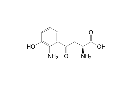 Alanine, 3-(3-hydroxyanthraniloyl)-, L-