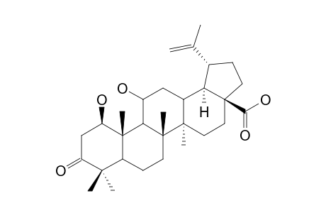 PROTOCHIISANOSIGENIN;1-BETA,11-ALPHA-DIHYDROXY-3-OXO-LUP-20(29)-EN-28-OIC-ACID