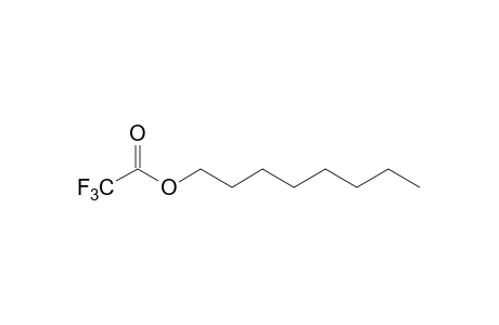 trifluoroacetic acid, octyl ester