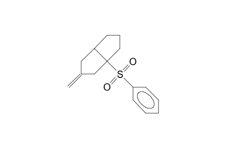 cis-1-Phenylsulfonyl-3-methylidene-bicyclo(3.3.0)octane