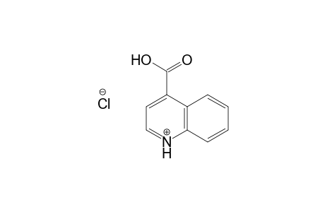 4-Quinolinecarboxylic acid, hydrochloride