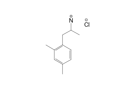 2,4-Dimethylamphetamine, hydrochloride