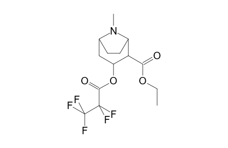Cocaine-M (ecgonine) ETPFP