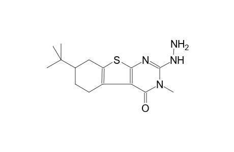 7-tert-Butyl-2-diazanyl-3-methyl-5,6,7,8-tetrahydro-[1]benzothiolo[2,3-d]pyrimidin-4-one