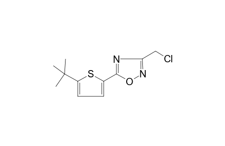 1,2,4-Oxadiazole, 3-chloromethyl-5-(5-tert-butyl-2-thienyl)-