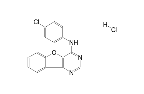 N-(4-chlorophenyl)benzofuro[3,2-d]pyrimidin-4-amine hydrochloride