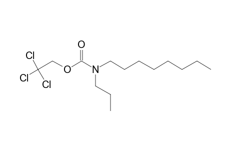 Carbonic acid, monoamide, N-propyl-N-octyl-, 2,2,2-trichloroethyl ester