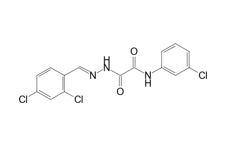 2,4-DICHLOROBENZALDEHYDE, 5-(m-CHLOROPHENYL)SEMIOXAMAZONE