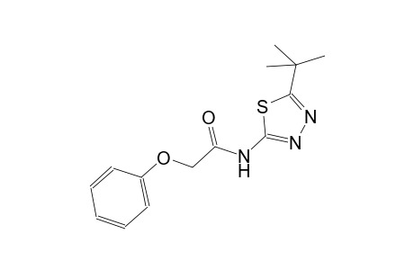 N-(5-tert-butyl-1,3,4-thiadiazol-2-yl)-2-phenoxyacetamide