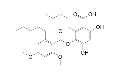 4-O-methylisocryptochlorophaeic acid