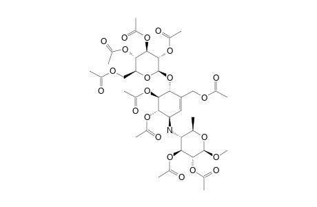 METHYL-BETA-ACARVIOSIN-4'-O-(2'',3'',4'',6''-TETRAACETOXY)-BETA-D-GLUCOPYRANOSIDE;#17;METHYL-4,6-DIDEOXY-4-[5',6'-DIACETOXY-3'-(ACETOXYMETHYL)-4'-O-(2'',3'',4'',6''-TE