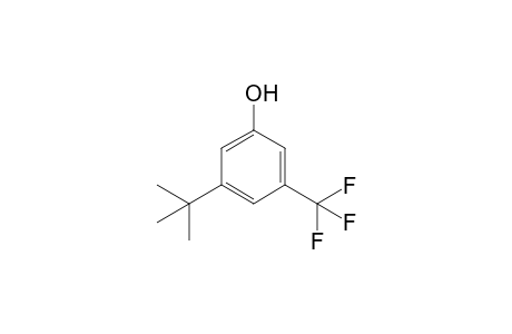 3-tert-Butyl-5-(trifluoromethyl)phenol