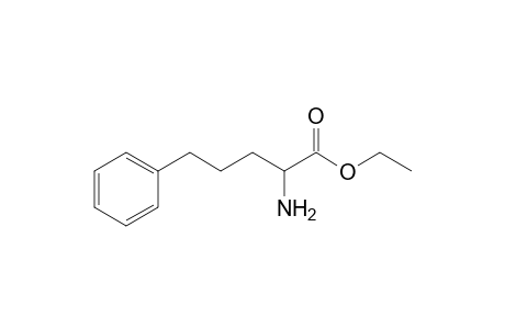 Ethyl 2-amino-5-phenylpentanoate