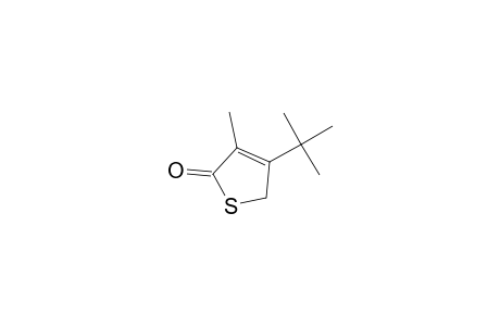 4-(t-Butyl)-3-methyl-2(5H)-thiophenone