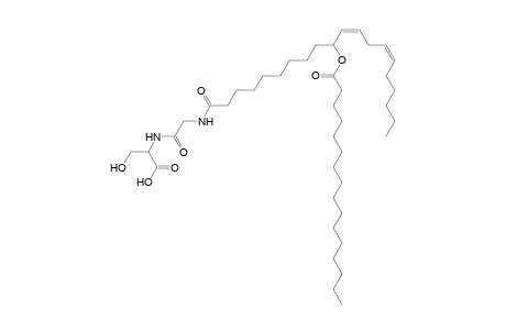 NAGlySer 16:0/20:2
