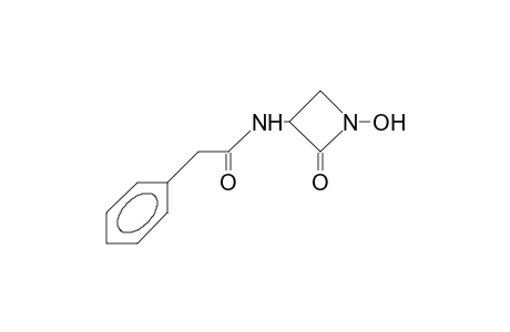 1-Hydroxy-3-(phenylacetyl-amino)-2-azetidione