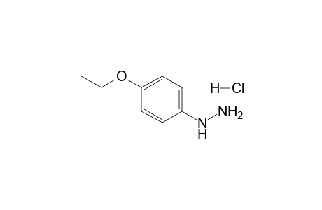 (4-ethoxyphenyl)hydrazine hydrochloride