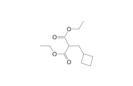 1,3-Diethyl 2-(cyclobutylmethyl)propanedioate