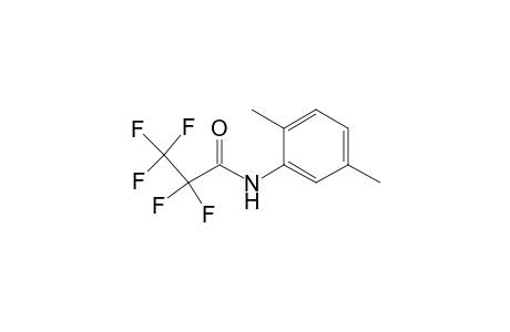 N-pentafluoropropionyl-2,5-dimethylaniline