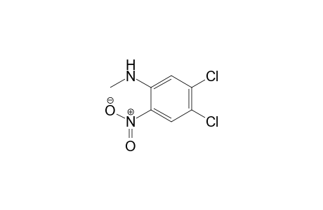 Benzenamine, 4,5-dichloro-N-methyl-2-nitro-