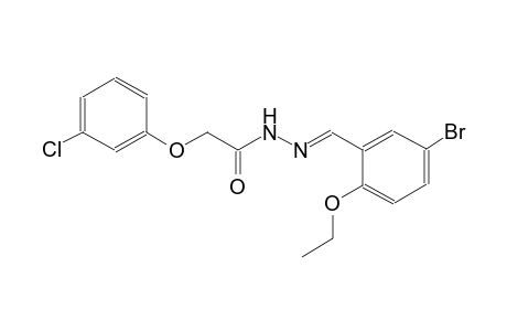 acetic acid, (3-chlorophenoxy)-, 2-[(E)-(5-bromo-2-ethoxyphenyl)methylidene]hydrazide