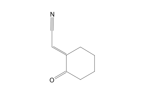 (E)-(2-OXO-CYCLOHEXYLIDENE)-ETHANE-NITRILE