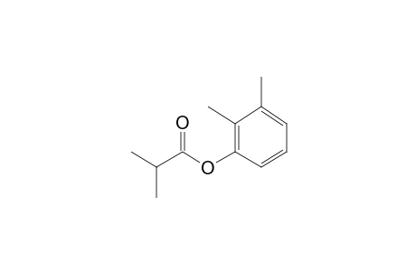 Isobutyric acid, 2,3-dimethylphenyl ester