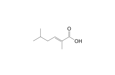 (E)-2,5-Dimethylhex-2-enoic acid