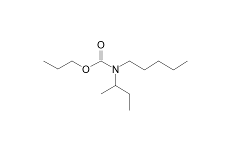 Carbamic acid, N-(2-butyl)-N-pentyl-, propyl ester